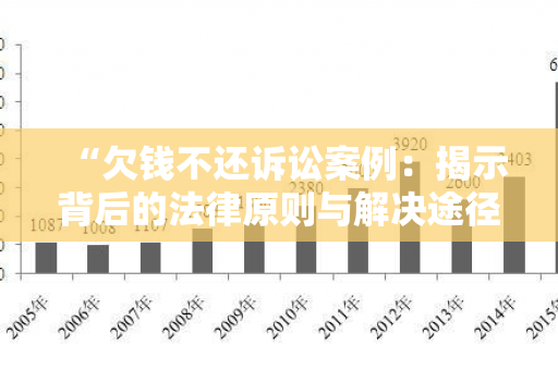 “欠钱不还诉讼案例：揭示背后的法律原则与解决途径”