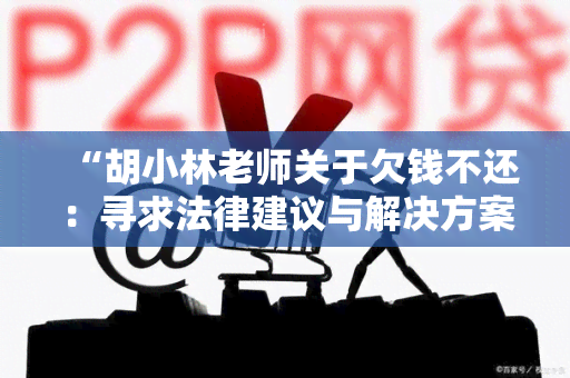 “胡小林老师关于欠钱不还：寻求法律建议与解决方案”的用户需求标题