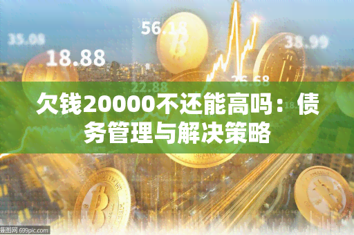 欠钱20000不还能高吗：债务管理与解决策略