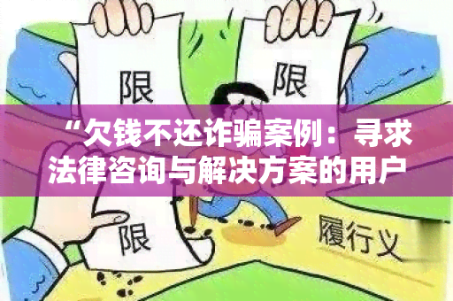 “欠钱不还诈案例：寻求法律咨询与解决方案的用户需求”