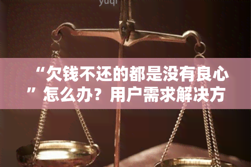 “欠钱不还的都是没有良心”怎么办？用户需求解决方案