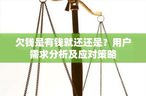 欠钱是有钱就还还是？用户需求分析及应对策略