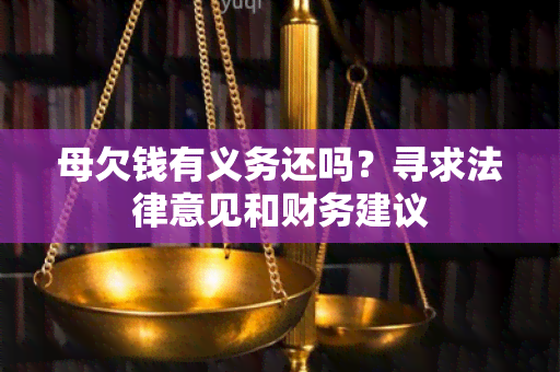 母欠钱有义务还吗？寻求法律意见和财务建议