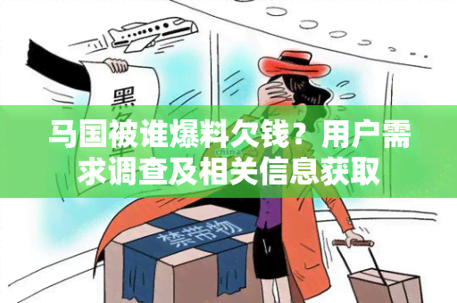 马国被谁爆料欠钱？用户需求调查及相关信息获取