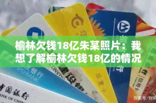 榆林欠钱18亿朱某照片：我想了解榆林欠钱18亿的情况，朱某照片可以提供更多证据吗？