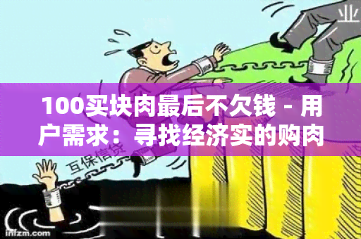 100买块肉最后不欠钱 - 用户需求：寻找经济实的购肉方案，不希望负债