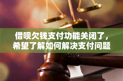 借呗欠钱支付功能关闭了，希望了解如何解决支付问题