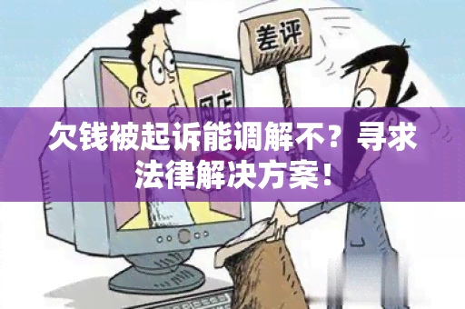 欠钱被起诉能调解不？寻求法律解决方案！