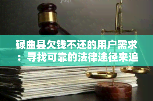 碌曲县欠钱不还的用户需求：寻找可靠的法律途径来追回欠款！