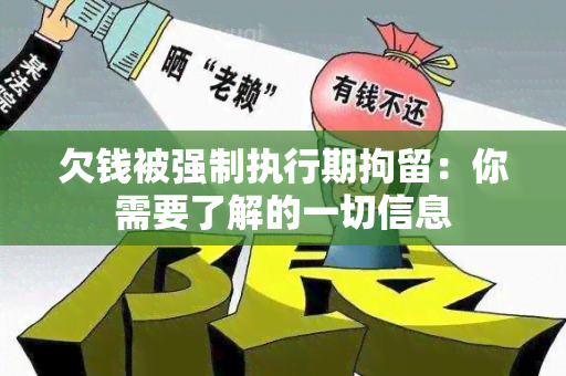 欠钱被强制执行期拘留：你需要了解的一切信息