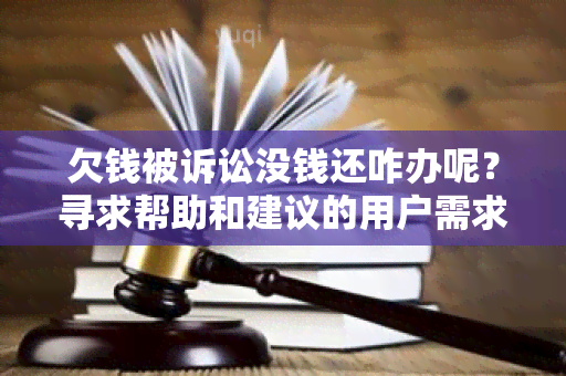 欠钱被诉讼没钱还咋办呢？寻求帮助和建议的用户需求