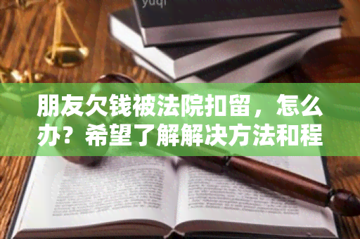 朋友欠钱被法院扣留，怎么办？希望了解解决方法和程序