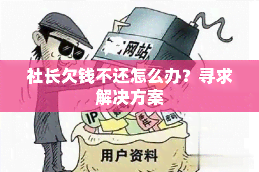 社长欠钱不还怎么办？寻求解决方案