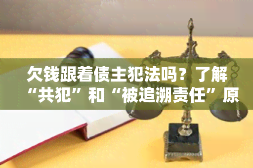 欠钱跟着债主犯法吗？了解“共犯”和“被追溯责任”原则！