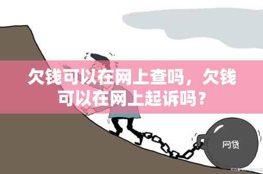 欠钱可以在网上查吗，欠钱可以在网上起诉吗？