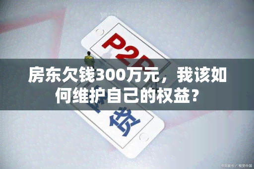 房东欠钱300万元，我该如何维护自己的权益？