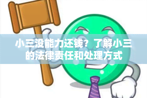 小三没能力还钱？了解小三的法律责任和处理方式