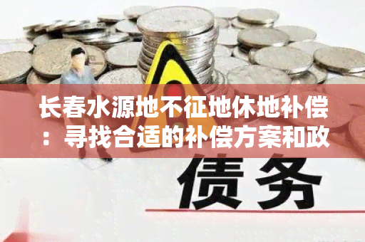 长春水源地不征地休地补偿：寻找合适的补偿方案和政策解决方案