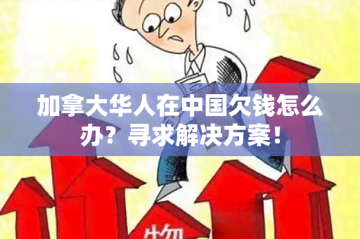 加拿大华人在中国欠钱怎么办？寻求解决方案！