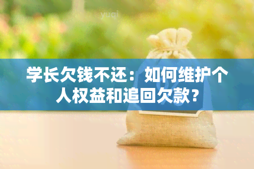 学长欠钱不还：如何维护个人权益和追回欠款？