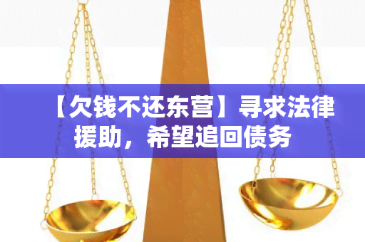 【欠钱不还东营】寻求法律援助，希望追回债务