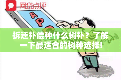 拆迁补偿种什么树补？了解一下最适合的树种选择!