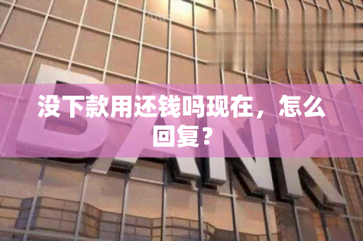 没下款用还钱吗现在，怎么回复？