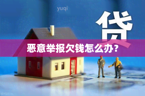 恶意举报欠钱怎么办？