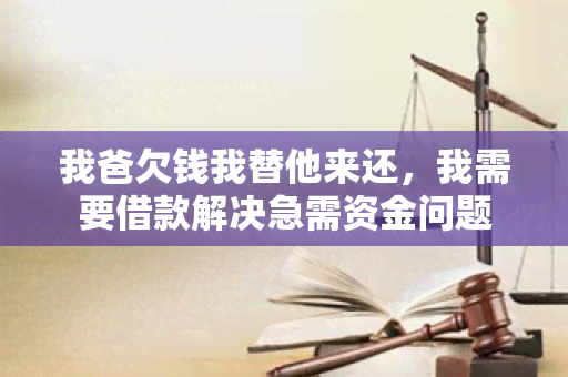 我爸欠钱我替他来还，我需要借款解决急需资金问题