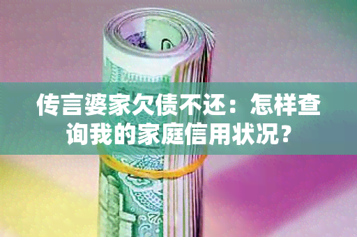 传言婆家欠债不还：怎样查询我的家庭信用状况？