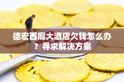 德宏西廊大店欠钱怎么办？寻求解决方案