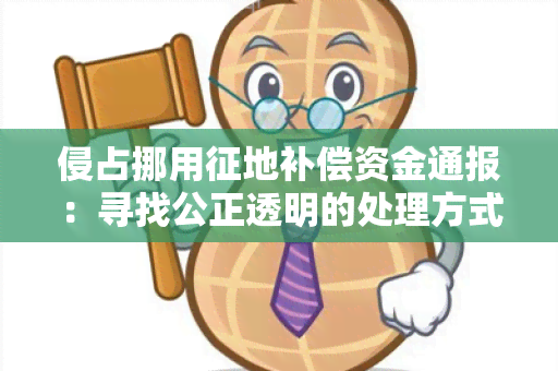 侵占挪用征地补偿资金通报：寻找公正透明的处理方式