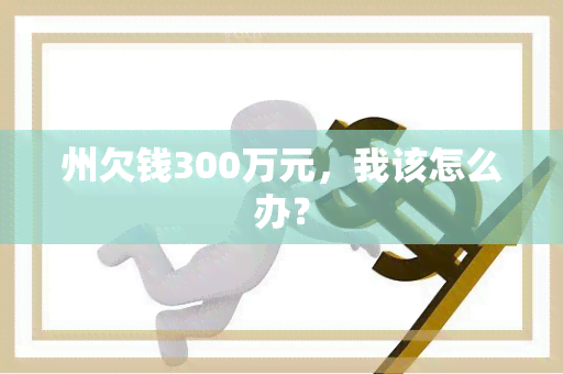 州欠钱300万元，我该怎么办？