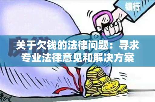 关于欠钱的法律问题：寻求专业法律意见和解决方案