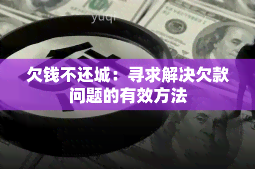 欠钱不还城：寻求解决欠款问题的有效方法