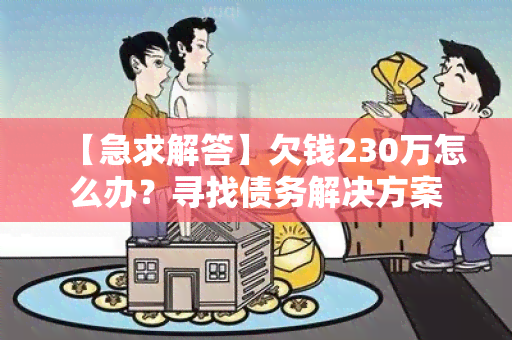 【急求解答】欠钱230万怎么办？寻找债务解决方案