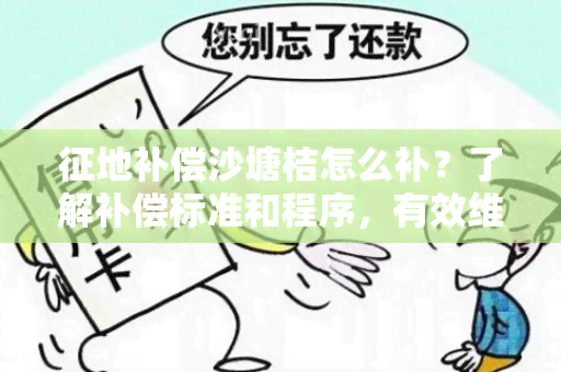 征地补偿沙塘桔怎么补？了解补偿标准和程序，有效维护农民利益