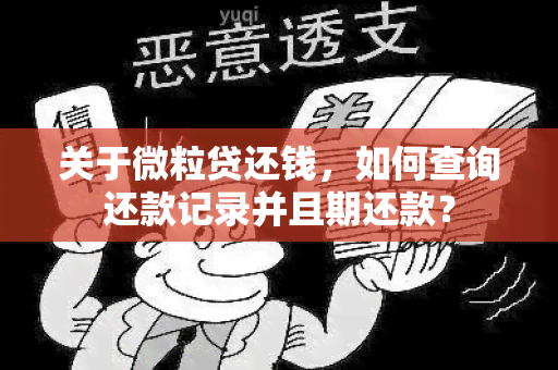 关于微粒贷还钱，如何查询还款记录并且期还款？