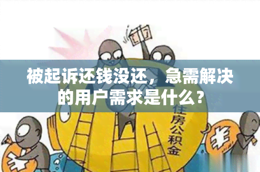 被起诉还钱没还，急需解决的用户需求是什么？