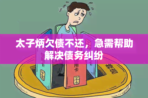 太子炳欠债不还，急需帮助解决债务纠纷