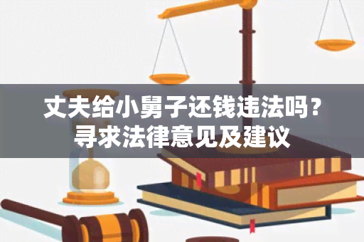 丈夫给小舅子还钱违法吗？寻求法律意见及建议