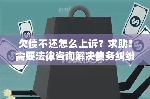 欠债不还怎么上诉？求助！需要法律咨询解决债务纠纷