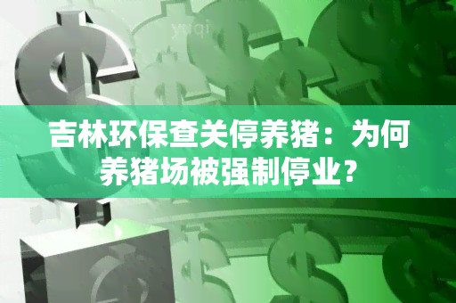 吉林环保查关停养猪：为何养猪场被强制停业？