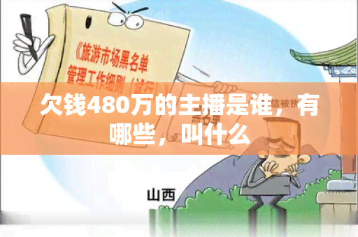 欠钱480万的主播是谁，有哪些，叫什么