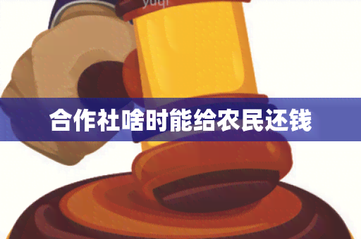 合作社啥时能给农民还钱