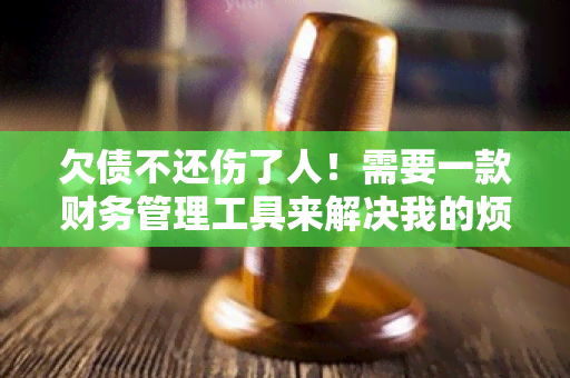 欠债不还伤了人！需要一款财务管理工具来解决我的烦恼！