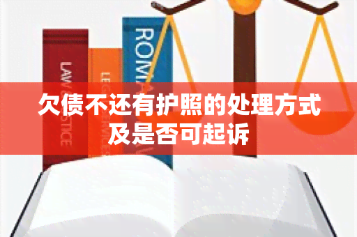 欠债不还有护照的处理方式及是否可起诉