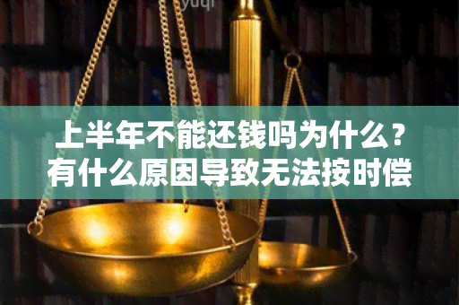 上半年不能还钱吗为什么？有什么原因导致无法按时偿还债务？