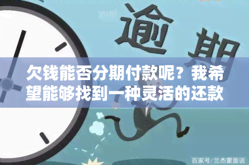 欠钱能否分期付款呢？我希望能够找到一种灵活的还款方式来减轻财务压力。