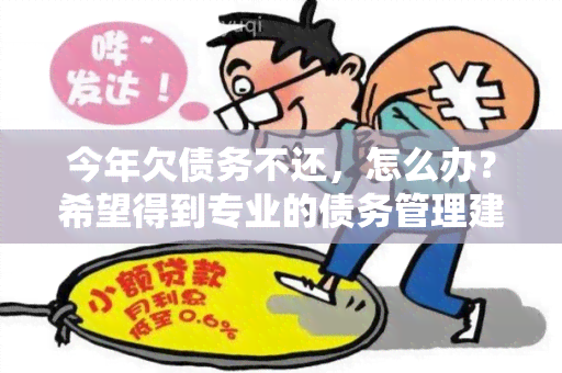 今年欠债务不还，怎么办？希望得到专业的债务管理建议